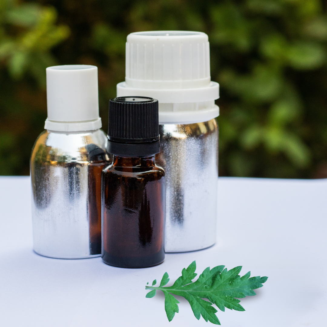 Artemisia oil