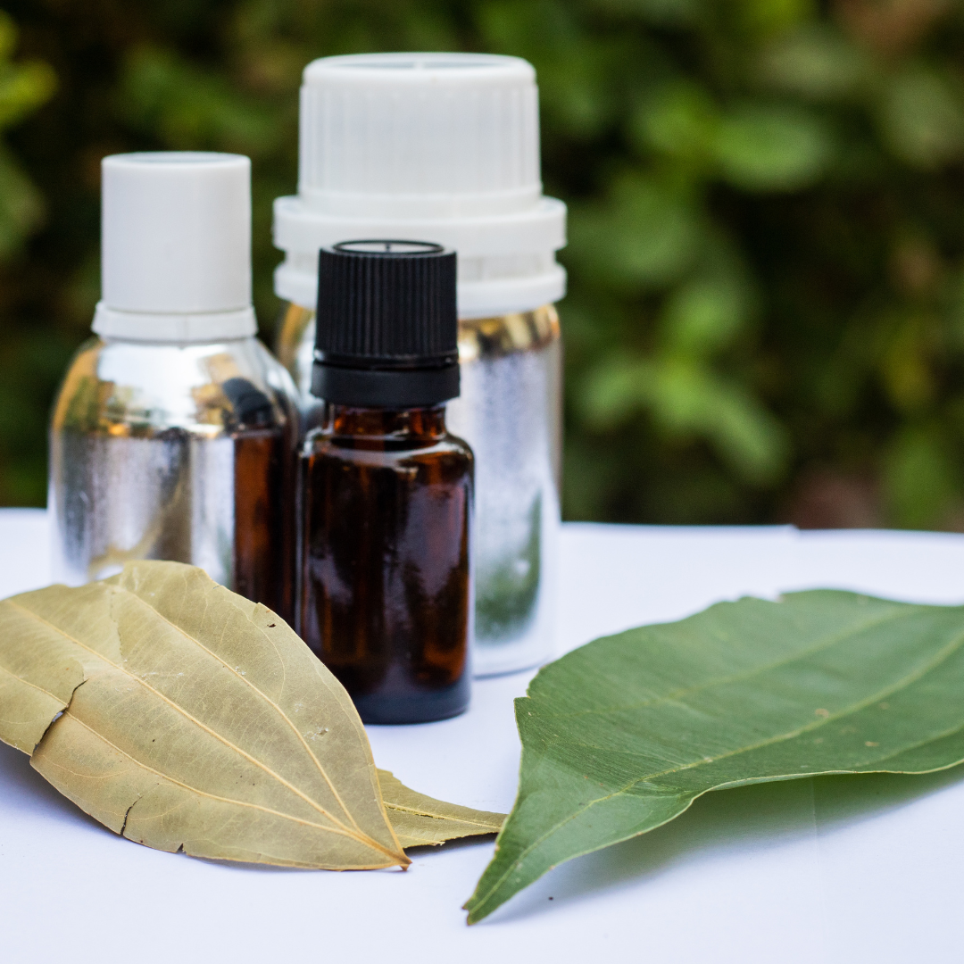 Bay Leaf Oil (Cinnamomum Tamala)