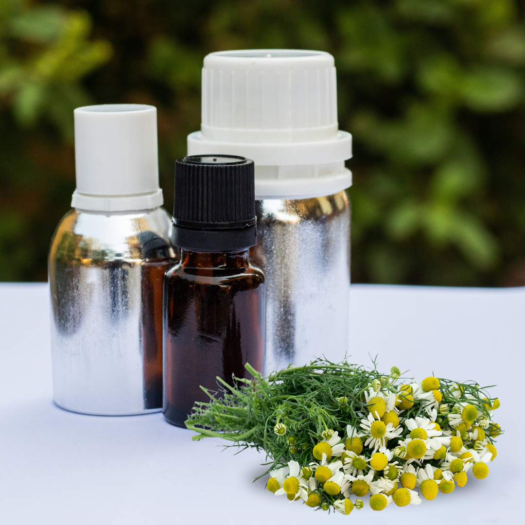 Chamomile Oil